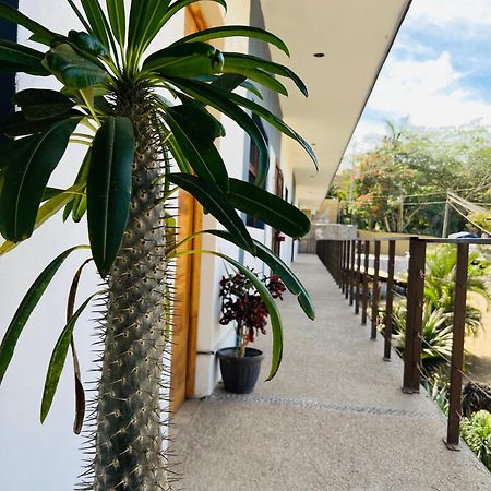 סאיוליטה Hotel Samanu מראה חיצוני תמונה