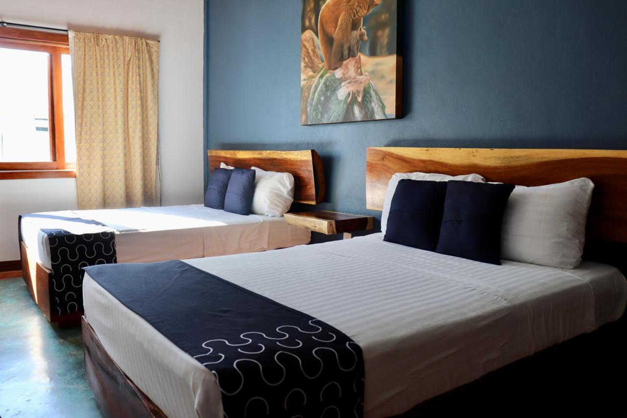 סאיוליטה Hotel Samanu מראה חיצוני תמונה