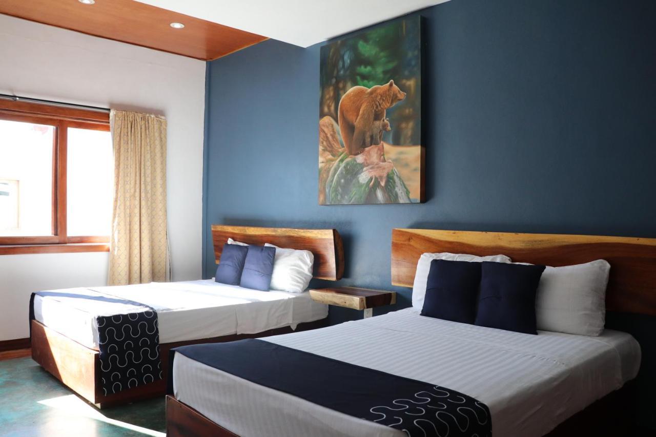 סאיוליטה Hotel Samanu מראה חיצוני תמונה