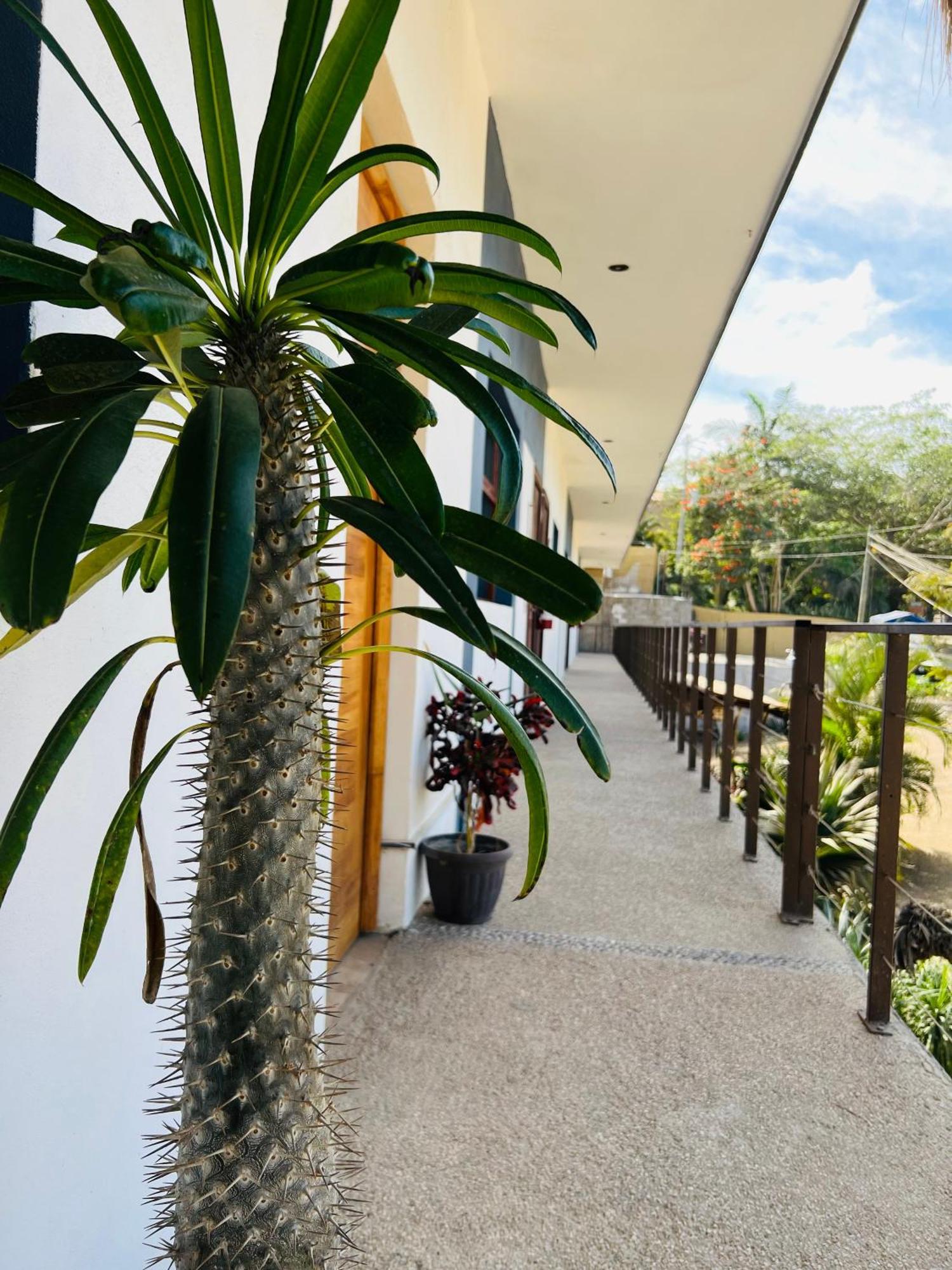 סאיוליטה Hotel Samanu מראה חיצוני תמונה